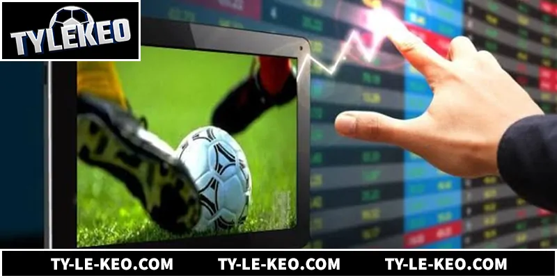 Tổng quan về lịch thi đấu